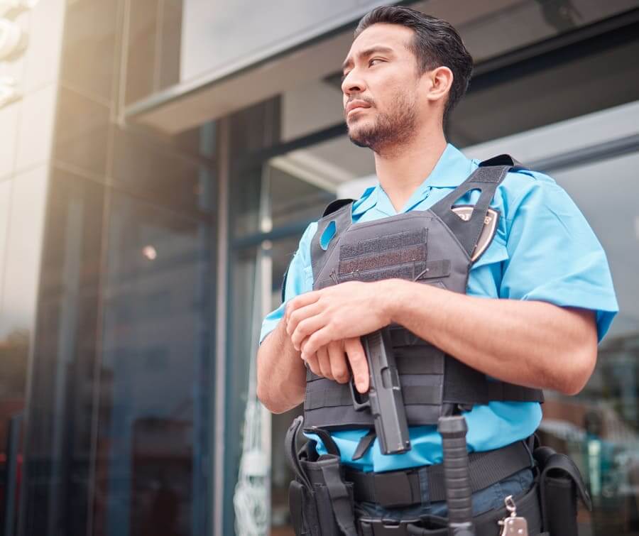 Perfil do vigilante